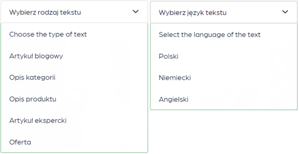 Opcje filtrowania w portfolio agencji Content Writer (screen).