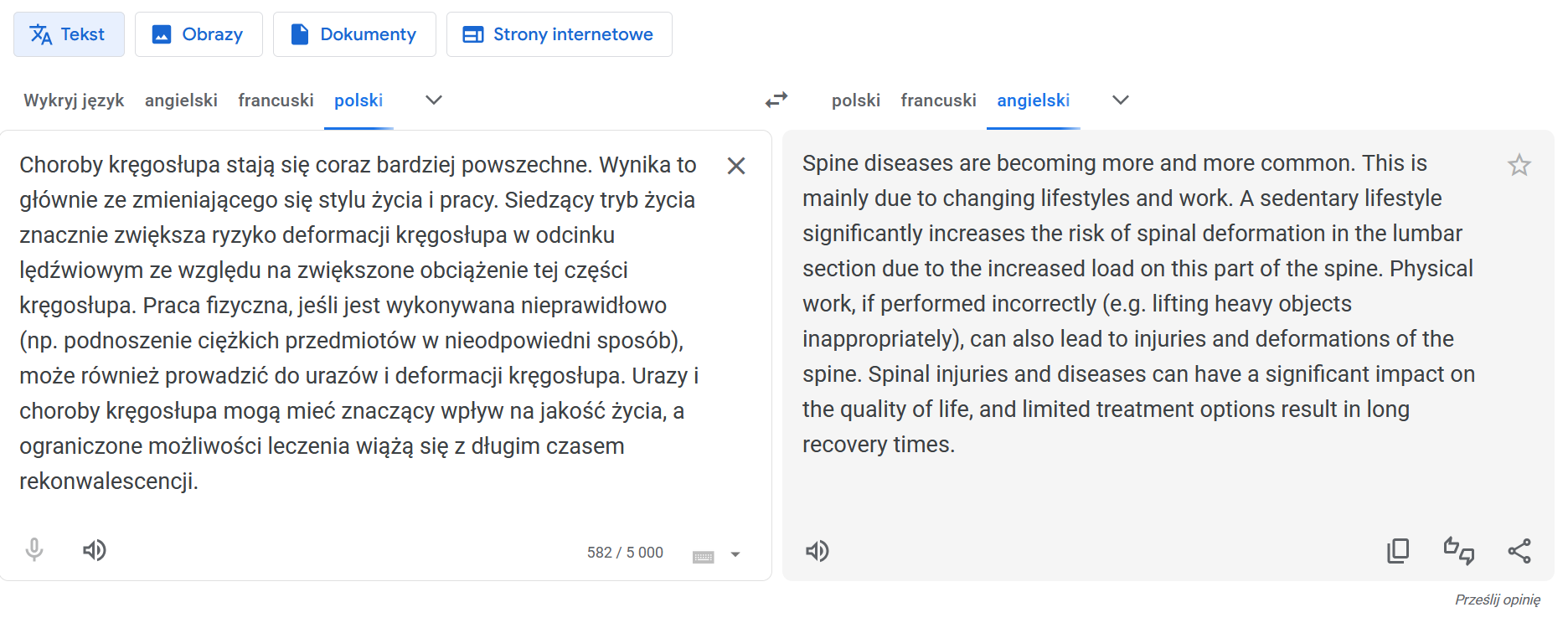 Google Translate tłumaczenie tekstu